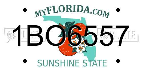 1BO6557 Florida License Plate