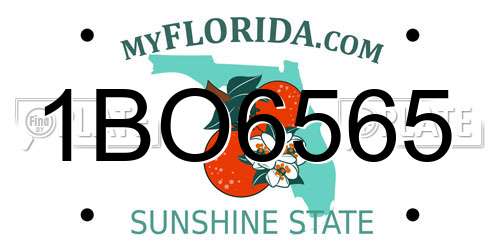 1BO6565 Florida License Plate