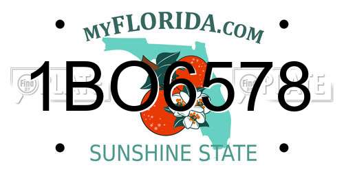 1BO6578 Florida License Plate
