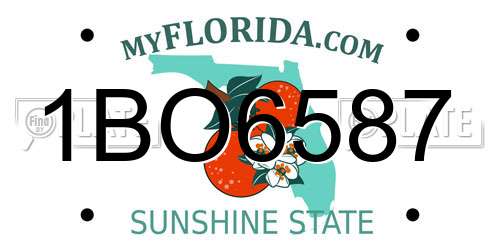 1BO6587 Florida License Plate