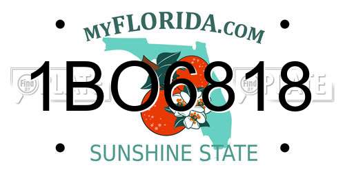 1BO6818 Florida License Plate