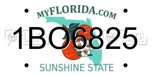 1BO6825 Florida License Plate