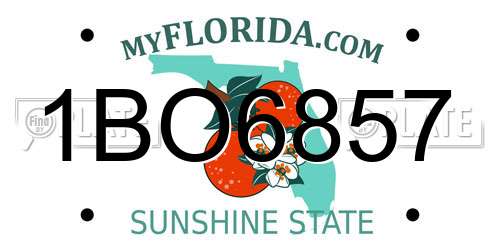 1BO6857 Florida License Plate