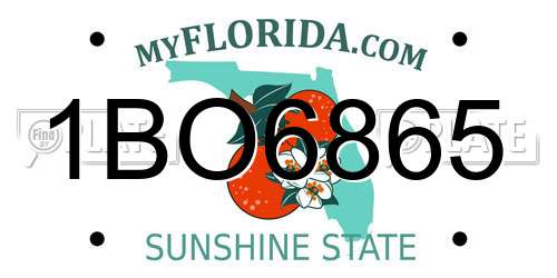 1BO6865 Florida License Plate