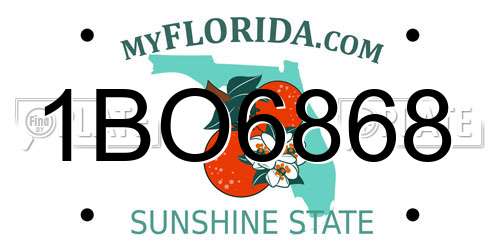 1BO6868 Florida License Plate