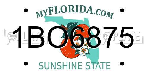 1BO6875 Florida License Plate