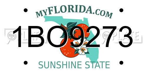 1BO9273 Florida License Plate