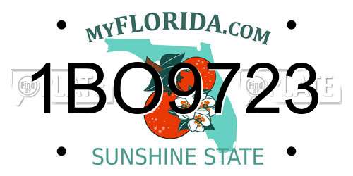 1BO9723 Florida License Plate