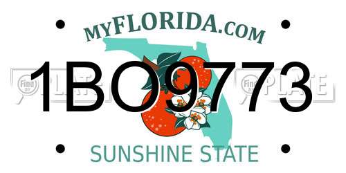 1BO9773 Florida License Plate