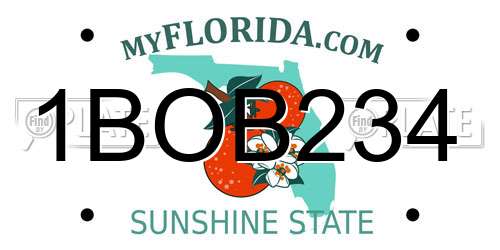 1BOB234 Florida License Plate