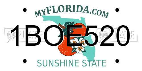 1BOE520 Florida License Plate