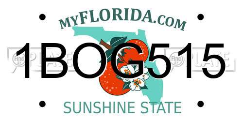 1BOG515 Florida License Plate