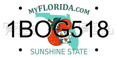 1BOG518 Florida License Plate