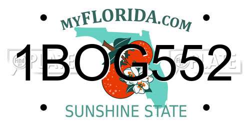 1BOG552 Florida License Plate