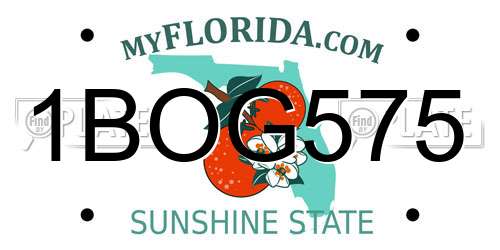 1BOG575 Florida License Plate