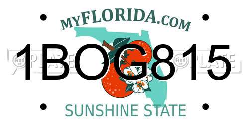 1BOG815 Florida License Plate