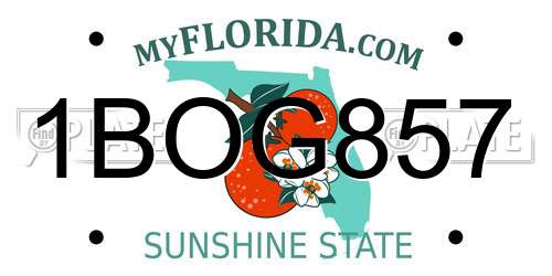 1BOG857 Florida License Plate