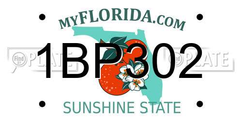 1BP302 Florida License Plate