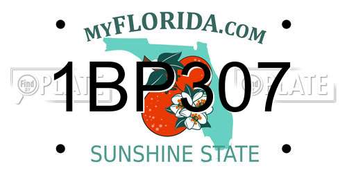 1BP307 Florida License Plate