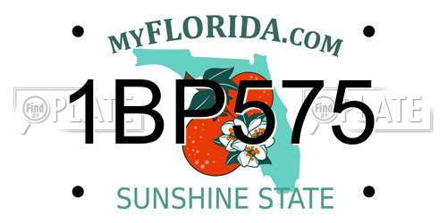 1BP575 Florida License Plate
