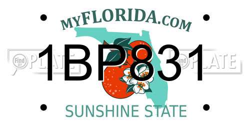 1BP831 Florida License Plate