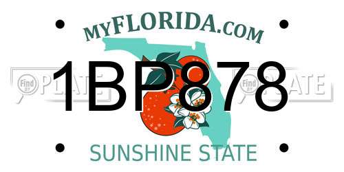 1BP878 Florida License Plate