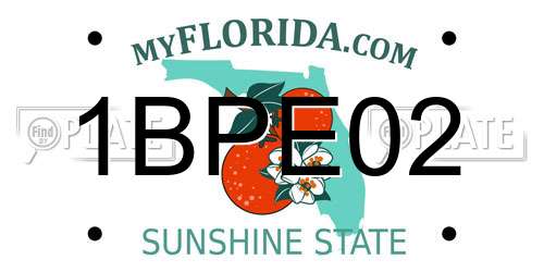 1BPE02 Florida License Plate