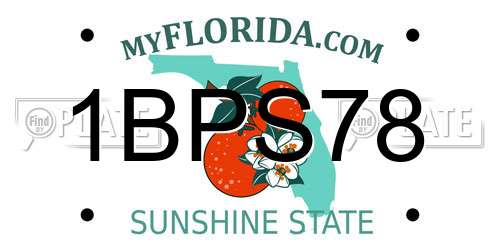 1BPS78 Florida License Plate