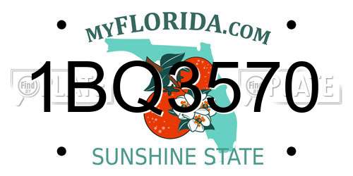 1BQ3570 Florida License Plate