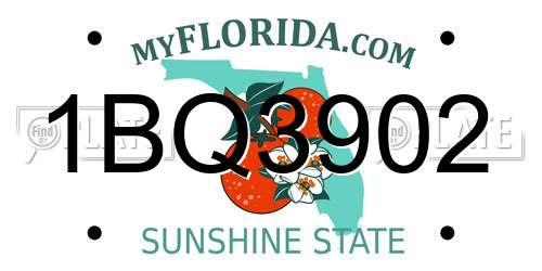 1BQ3902 Florida License Plate