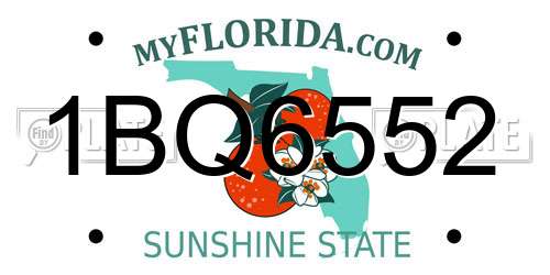 1BQ6552 Florida License Plate