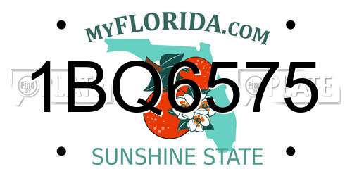 1BQ6575 Florida License Plate