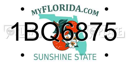 1BQ6875 Florida License Plate