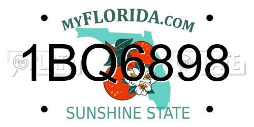 1BQ6898 Florida License Plate