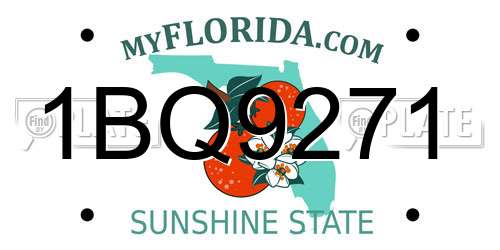 1BQ9271 Florida License Plate