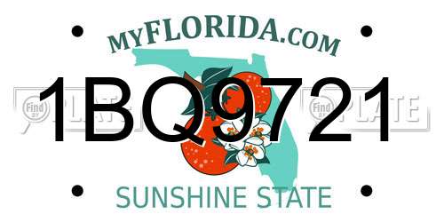 1BQ9721 Florida License Plate