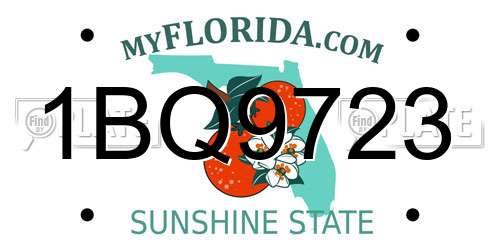 1BQ9723 Florida License Plate