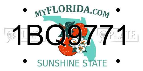 1BQ9771 Florida License Plate