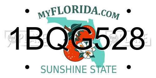 1BQG528 Florida License Plate
