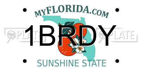1BRDY Florida License Plate