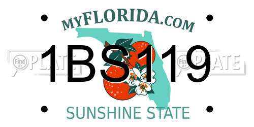 1BS119 Florida License Plate