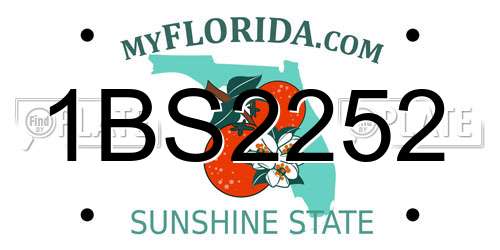 1BS2252 Florida License Plate