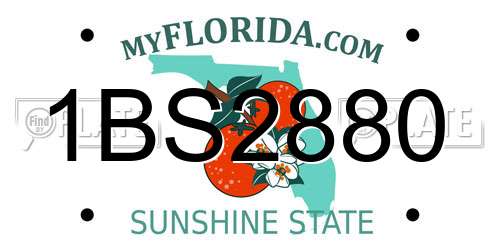 1BS2880 Florida License Plate