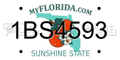 1BS4593 Florida License Plate