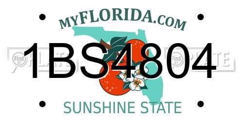 1BS4804 Florida License Plate