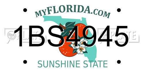 1BS4945 Florida License Plate