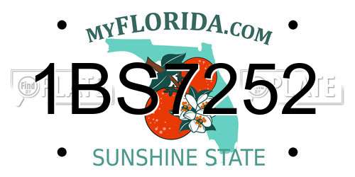 1BS7252 Florida License Plate