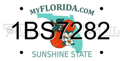 1BS7282 Florida License Plate