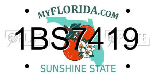 1BS7419 Florida License Plate