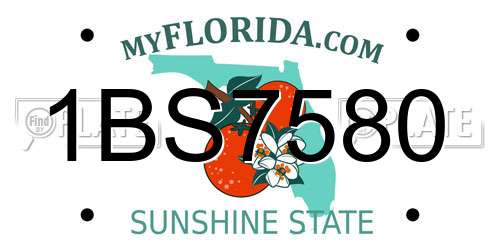 1BS7580 Florida License Plate